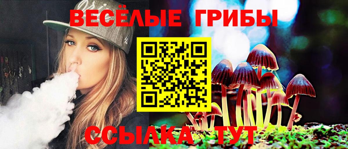 Кушва  Псилоцибиновые грибы Cubensis  Вход с VPN 